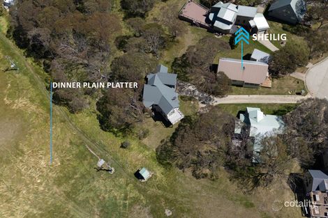 Property photo of 24 Drybone Lane Dinner Plain VIC 3898