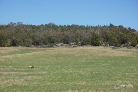 651 Peabody Rd, Molong, NSW 2866