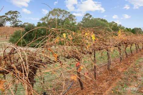 1798 Barossa Valley Way, Rowland Flat, SA 5352