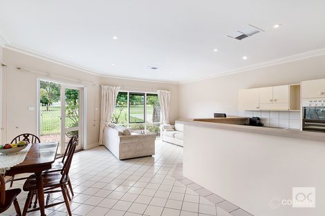 Property photo of 5/8A Wynyard Grove Wattle Park SA 5066