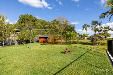 Property photo of 3 Nimbus Drive Flaxton QLD 4560