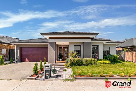 Property photo of 36 Glenrose Boulevard Clyde North VIC 3978