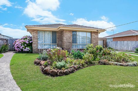 Property photo of 11 Fairmont Avenue Warrnambool VIC 3280