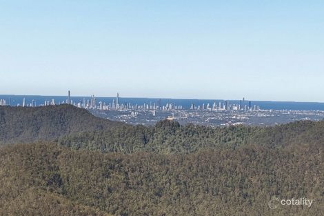 Property photo of 50 Macrozamia Drive Clagiraba QLD 4211