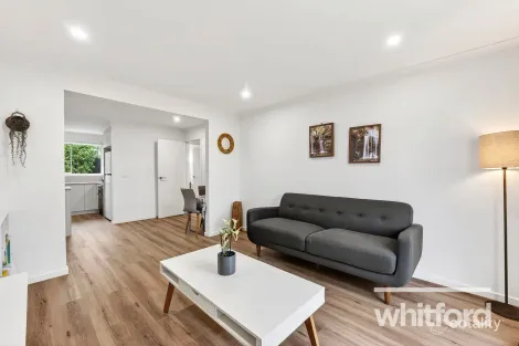 Property photo of 3/34 Sandringham Parade Newtown VIC 3220