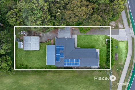 Property photo of 102 Collingwood Road Birkdale QLD 4159