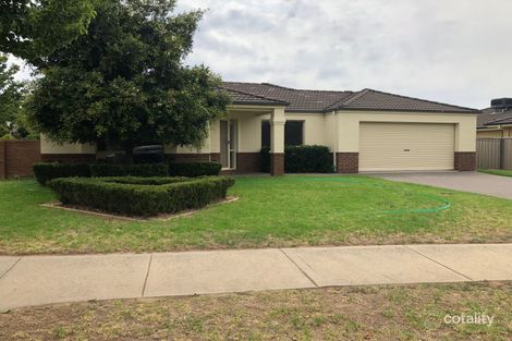 Property photo of 19 Ambrose Crescent West Wodonga VIC 3690