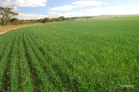 Wicherina Rd S, Wicherina South, WA 6532