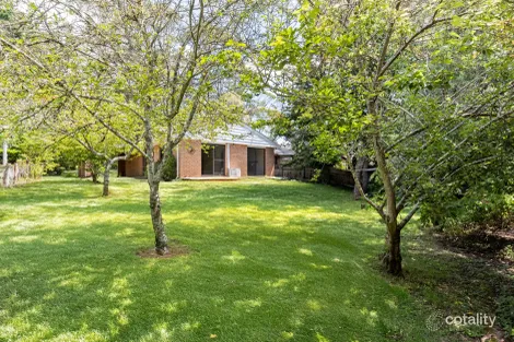 Property photo of 136 Evans Lookout Road Blackheath NSW 2785