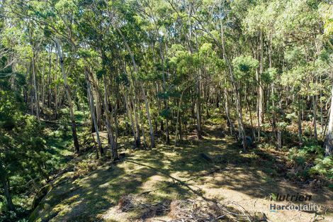 284 Burgess Rd, Yarck, VIC 3719