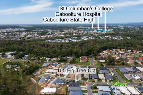 105 Fig Tree Cct, Caboolture, QLD 4510