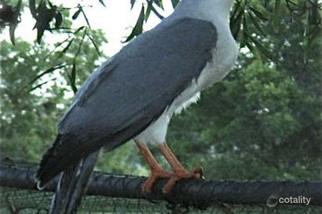 Property photo of 2142 Gloucester Tops Road Invergordon NSW 2422