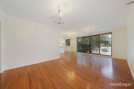 Property photo of 5/49 Albion Street Waverley NSW 2024