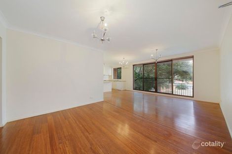 Property photo of 5/49 Albion Street Waverley NSW 2024