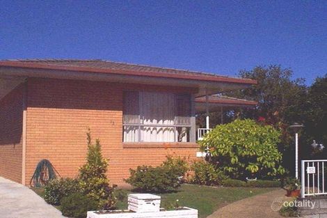 Property photo of 33 Rees Avenue Coorparoo QLD 4151