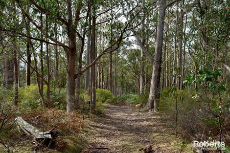 Property photo of 699 Church Road Dromedary TAS 7030