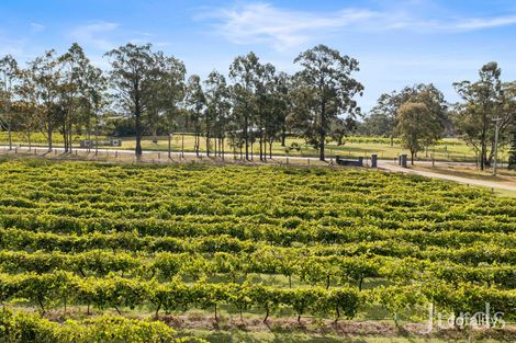 Property photo of 691 Hermitage Road Pokolbin NSW 2320