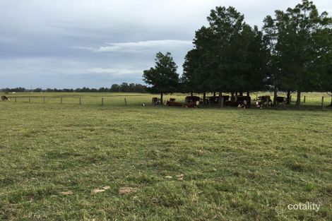 854 Newline Rd, Eagleton, NSW 2324