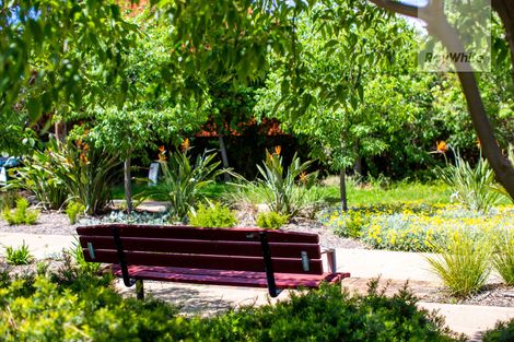 Property photo of 23 Chapel Lane Mawson Lakes SA 5095