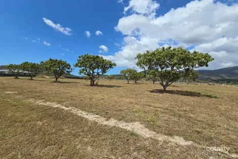 Property photo of 75 Orchard Circuit Alligator Creek QLD 4816
