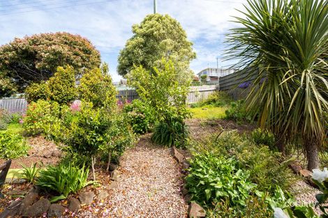 Property photo of 46 Appledore Street Miandetta TAS 7310