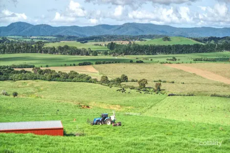 487 Rocky Creek Rd, Bielsdown Hills, NSW 2453