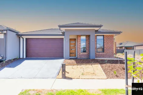 29 Farrington Ave, Melton South, VIC 3338