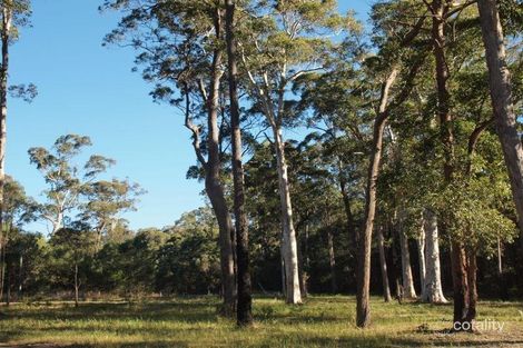 Property photo of Tree Frog Grove Woombah NSW 2469