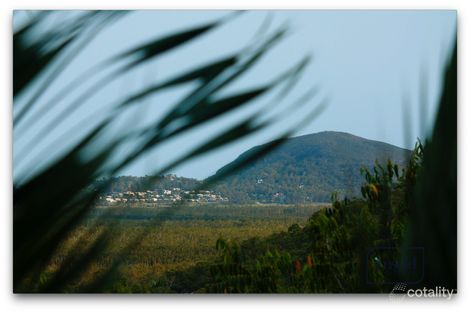 Property photo of 81 Leichhardt Drive Yandina Creek QLD 4561