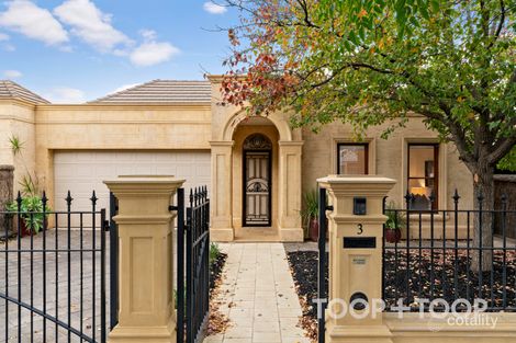 Property photo of 3 Sturt Avenue Toorak Gardens SA 5065