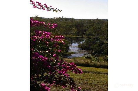 Property photo of 222 Mingo Road Morganville QLD 4671
