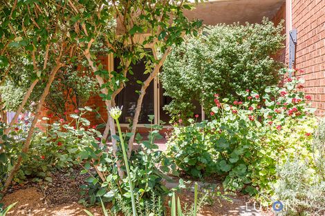 Property photo of 5/12 Albermarle Place Phillip ACT 2606