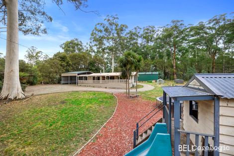 Property photo of 38 Whitegum Drive East Warburton VIC 3799