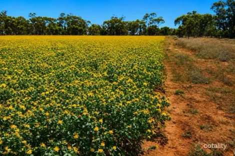 488 Days Rd, Nyngan, NSW 2825