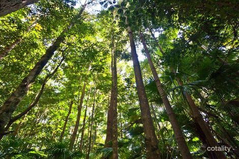 Property photo of 188 Dingo Lane Myocum NSW 2481
