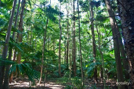 Property photo of 188 Dingo Lane Myocum NSW 2481
