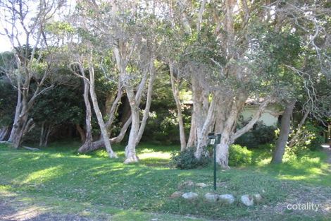 Property photo of 9 Croll Street Blueys Beach NSW 2428