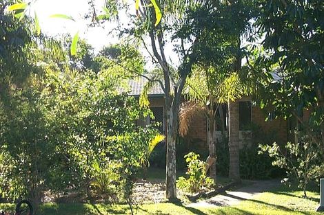 5 Wantima St, Noosa Heads, QLD 4567