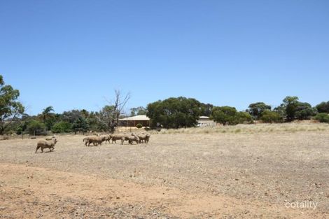 Property photo of 30 Hackett Road Waggrakine WA 6530
