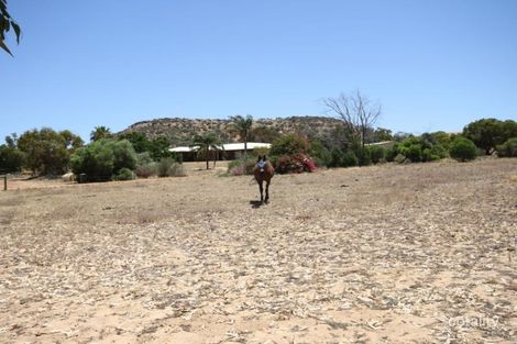 Property photo of 30 Hackett Road Waggrakine WA 6530
