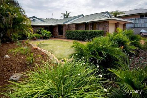 Property photo of 6 Raintrees Court Buderim QLD 4556