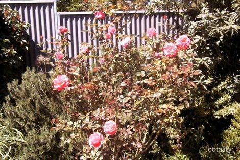 Property photo of 5/12 Skipper Street Mount Barker SA 5251