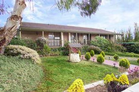 Property photo of 14 Titian Court Grovedale VIC 3216