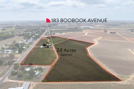 Property photo of 183 Boobook Avenue Red Cliffs VIC 3496