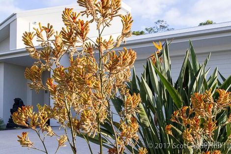 16 Parkway Cres, Murrumba Downs, QLD 4503