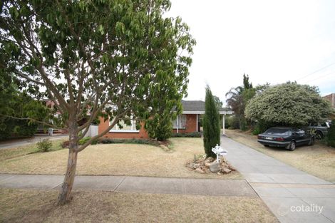 13 Jacob St, Marion, SA 5043