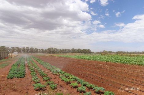 Property photo of 19 Bailey Road Virginia SA 5120