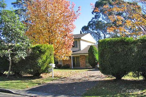 6 Woolrych Cres, Davidson, NSW 2085