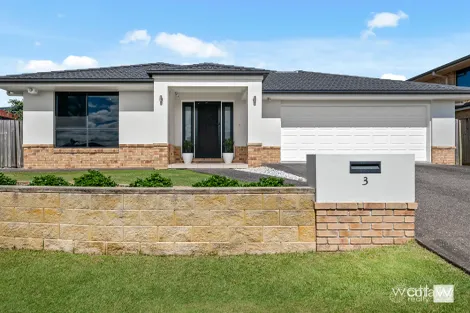 Property photo of 3 Hedge Court Aspley QLD 4034