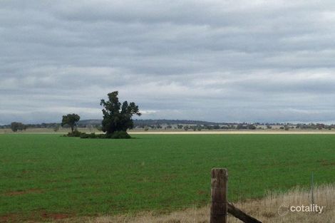 374 Ganantagi Rd, Yarrabandai, NSW 2875